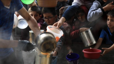 Photo of “يونيسف”: أطفال غزة يواجهون أهوال الجوع وسط رصاص لا يتوقف