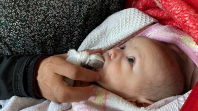 Photo of الجوع يلتهم 13 طفلا بغزة واليونيسيف تحذر من المستقبل