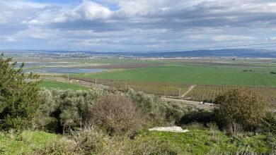 Photo of حالة الطقس: ارتفاع على درجات الحرارة