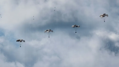 Photo of “ذلونا”.. هكذا وصف طفل غزي عمليات الإنزال الجوي للمساعدات على غزة (فيديو)