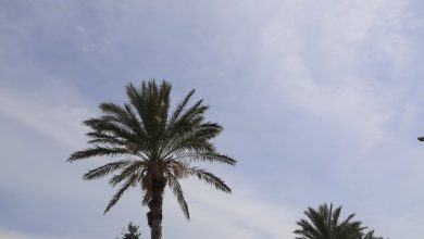 Photo of حالة الطقس: انخفاض في درجات الحرارة وأمطار محلية في معظم المناطق