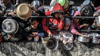 Photo of صحة غزة تحذر من “أكبر عدد من ضحايا الجوع” في شمال القطاع