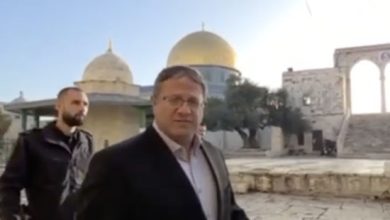 Photo of هل أصبح حلم جماعات الهيكل المتطرفة بذبح البقرة الحمراء قريب المنال؟