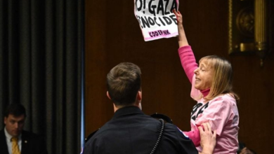 Photo of ناشطة يهودية أمريكية: أيدي إدارة بايدن ملطخة بدماء غزة