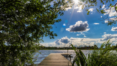 Photo of حالة الطقس: جو معتدل ودافئ