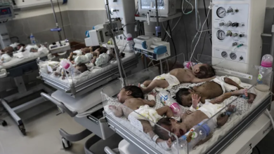 Photo of كابوس يلاحق نساء غزة.. ظروف الحمل والولادة في القطاع
