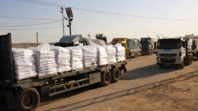 Photo of لليوم الرابع على التوالي مفاوضات وقف العدوان تتواصل في القاهرة والسيسي: الوضع الإنساني في غزة لا يحتمل التأجيل