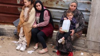 Photo of في اليوم العالمي للمرأة.. 9 آلاف من أصل 30717 شهيدًا في غزة هم من النساء