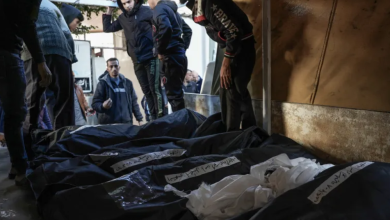 Photo of ارتفاع عدد ضحايا الحرب في غزة.. وزارة الصحة: الاحتلال ارتكب 8 مجازر خلال 24 ساعة