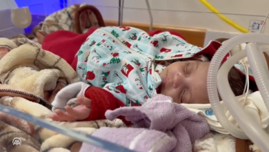 Photo of “سمية” طفلة ولدت بعد استشهاد والدتها في غزة ومصير عائلتها مجهول