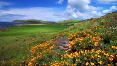 Photo of ارتفاع طفيف على درجات الحرارة وجو معتدل في النهار