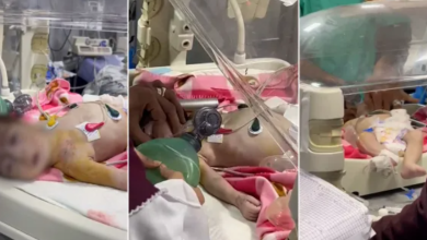 Photo of مستشار بالبيت الأبيض: الوضع الإنساني في غزة يدفعنا لمواجهة مع الإسرائيليين