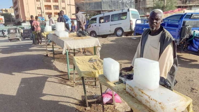 Photo of السودان: سوء التغذية يودي بحياة 2400 طفل وامرأة ومسن في جبل مرة