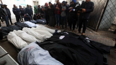 Photo of استشهاد 71 فلسطينيا في قطاع غزة خلال 24 ساعة