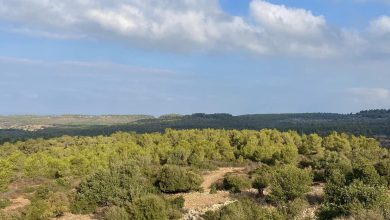 Photo of حالة الطقس: أجواء حارة