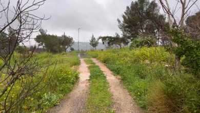 Photo of “الظهور” حكاية أرض وُرِثت عن الأجداد وسُلبت بدعم الاحتلال