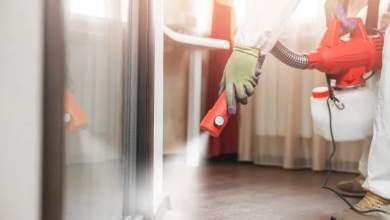 Photo of ودعي المبيدات الحشرية السامة.. 13 بديلا آمنا لمنزلك