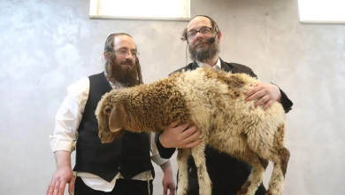 Photo of محاولات حثيثة لذبح قرابين بالأقصى احتفالا بعيد الفصح العبري