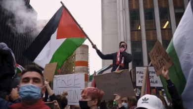 Photo of “العقيدة الإسرائيلية”.. شباب اليهود الأمريكيين يتحررون من أكاذيب الدعاية الصهيونية (فيديوهات)