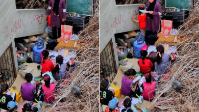 Photo of تدريس بين الركام.. أطفال غزة لا يستسلمون