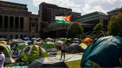 Photo of هكذا حمى أساتذة “كولومبيا” طلابهم.. وتنديد أممي بإدارة الجامعة (شاهد)