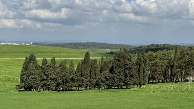 Photo of حالة الطقس: أجواء معتدلة