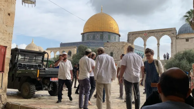 Photo of تهريب بالأكياس.. محاولات محمومة لذبح “قربان الفصح” اليهودي بالمسجد الأقصي (شاهد)