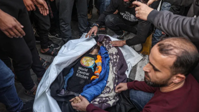 Photo of مقررة أممية: إسرائيل تعمدت قتل موظفي الإغاثة بغزة