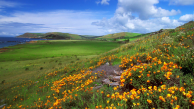 Photo of انخفاض طفيف على درجات الحرارة مساء اليوم