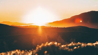 Photo of استمرار تأثر البلاد بالموجة الحارة