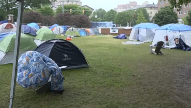 Photo of تواصل حراك الجامعات الداعم لغزة واتفاق لقطع الروابط مع المؤسسات الإسرائيلية