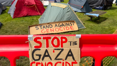 Photo of أكاديميون بجامعة أكسفورد يطلبون تدريس طلاب غزة عن بعد