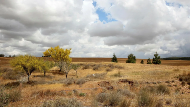 Photo of حالة الطقس: أجواء حارة وجافة