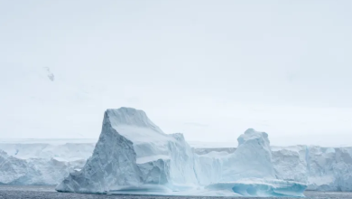 Photo of لوتان: روسيا تكتشف 511 مليار برميل نفط بالمتجمد الجنوبي وقلق بريطاني