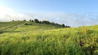 Photo of حالة الطقس: أجواء حارة نسبيًا