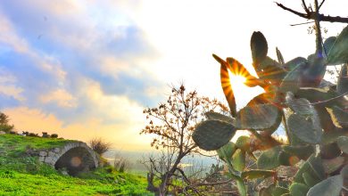 Photo of حالة الطقس: درجات الحرارة أعلى من المعدل لمثل هذا الوقت