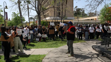 Photo of موقع بريطاني: 3 أساطير سعت لتشويه احتجاجات الطلاب بأميركا