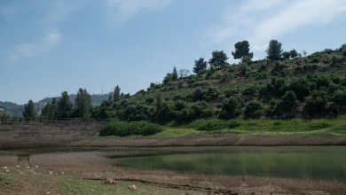 Photo of حالة الطقس: ارتفاع طفيف على درجات الحرارة