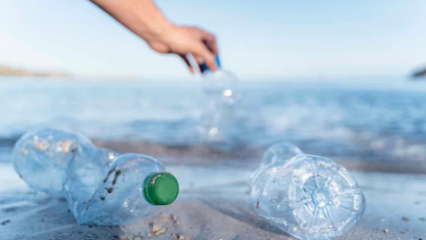 Photo of دراسة: المواد البلاستيكية السامة تتسرب إلى الدم عبر الجلد