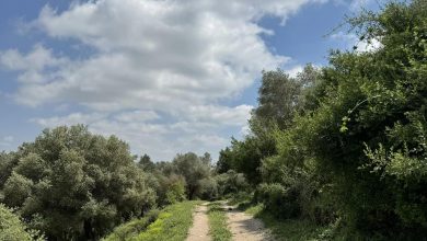 Photo of حالة الطقس: أجواء غائمة جزئيا