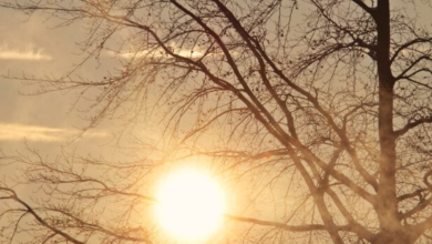Photo of ارتفاع طفيف على درجات الحرارة وجو دافئ خلال النهار