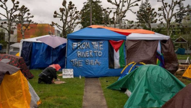 Photo of جامعة إيفرغرين الأمريكية ترضخ لمطالب المحتجين الداعمين لفلسطين
