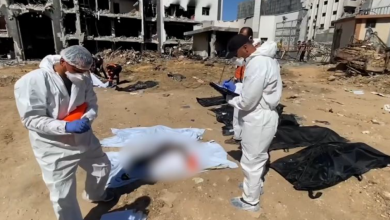Photo of حماس تدعو المجتمع الدولي لوقف الحرب بغزة بعد اكتشاف 7 مقابر جماعية