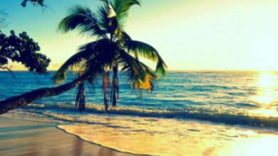 Photo of جو حار نسبي إلى حار ودرجات الحرارة بارتفاع