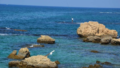 Photo of جو صيفي ودرجات حرارة ضمن المعدلات السنوية