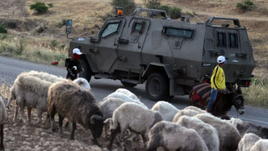 Photo of مركز إسرائيلي يكشف مخططا لتهجير رعاة فلسطينيين بالضفة
