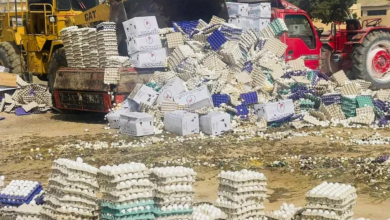 Photo of مع استمرار إغلاق معبر رفح.. لهيب الشمس يفسد المساعدات بسيناء