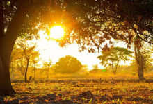 Photo of طقس متقلب هذا الأسبوع: دفء وغبار يعقبه انخفاض ملموس على درجات الحرارة