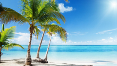 Photo of جو صيفي ودرجات حرارة ضمن المعدلات السنوية