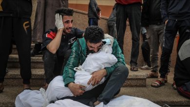 Photo of صحة غزة: ارتفاع حصيلة الشهداء إلى 36 ألفا و550 منذ 7 أكتوبر